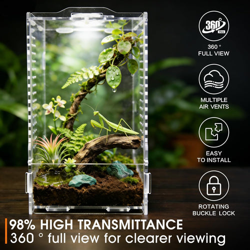 WebHaven Core – Compact Crystal Clear Jumper Habitat