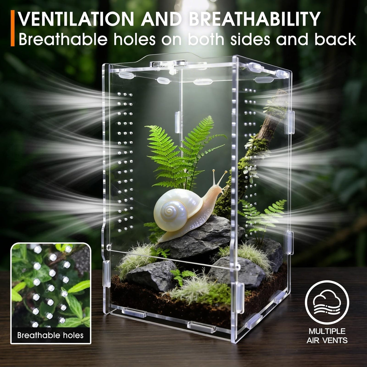 WebHaven Core – Compact Crystal Clear Jumper Habitat