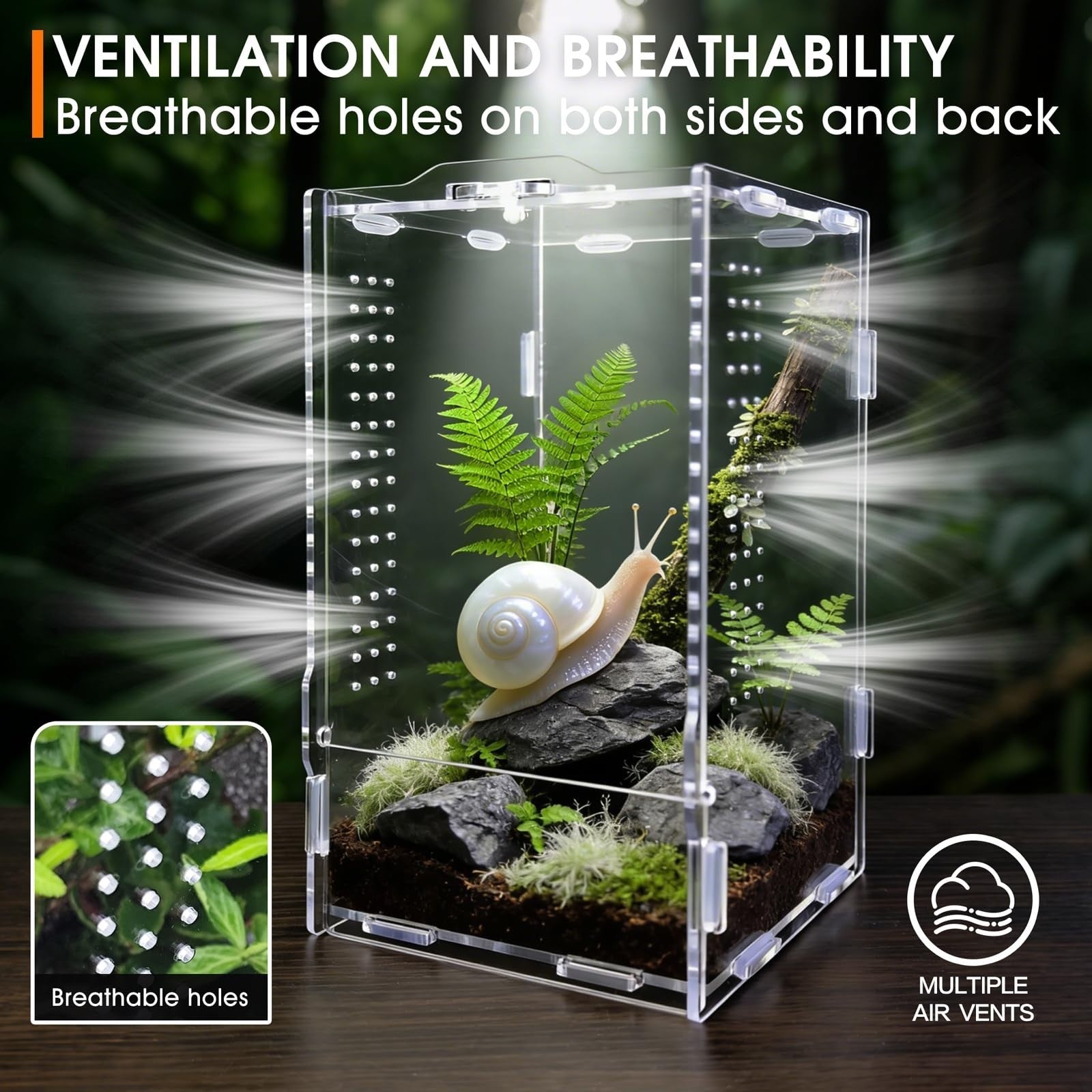WebHaven Core – Compact Crystal Clear Jumper Habitat