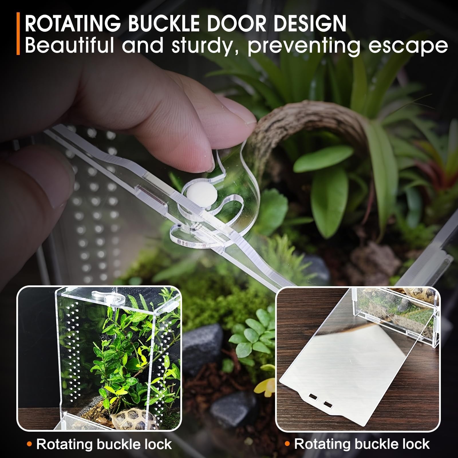 WebHaven Core – Compact Crystal Clear Jumper Habitat