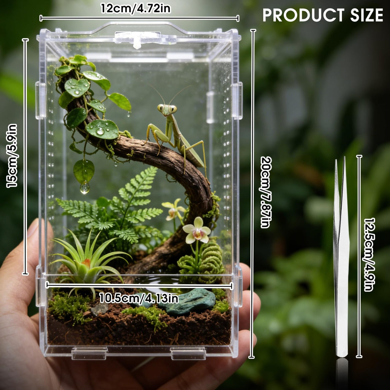 WebHaven Core – Compact Crystal Clear Jumper Habitat