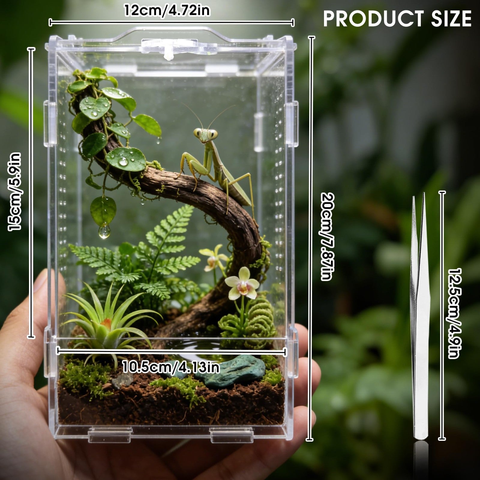 WebHaven Core – Compact Crystal Clear Jumper Habitat